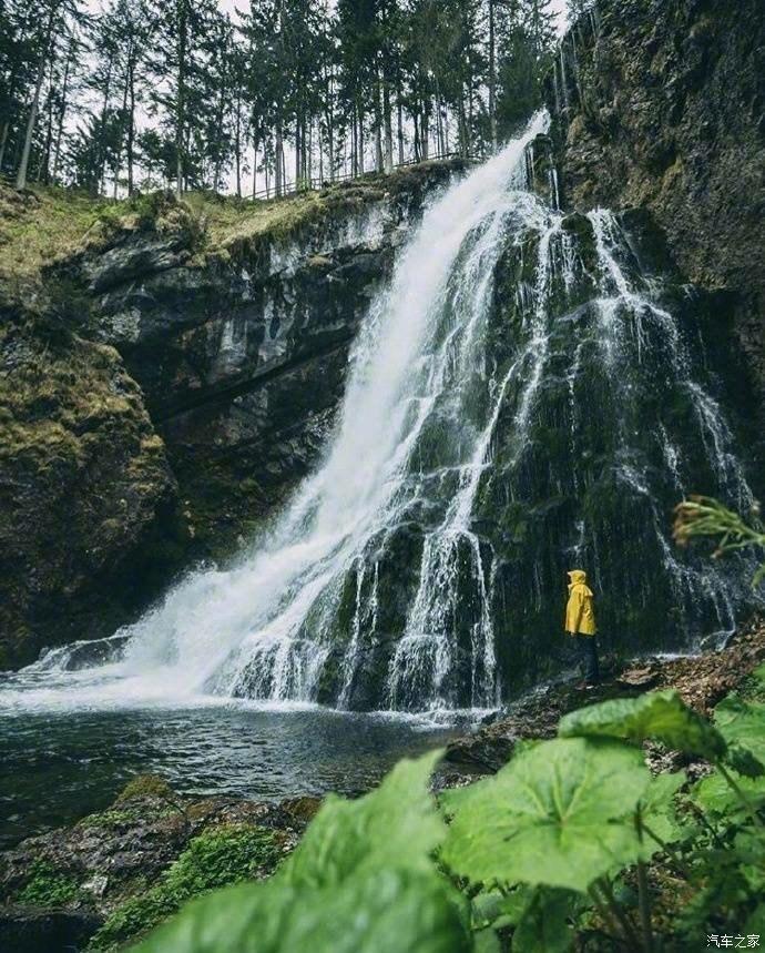 沪江开心词场